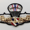 Royal thai air force - Parachute wings