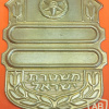 Значок офицера полиции Израиля img68932