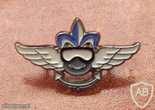 Unidentified badge- 12 img68946