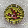 The Phoenix Squadron ( Arava Guard Squadron ) - 144th Squadron