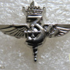 Unidentified badge- 78