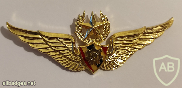 Thai army airborne engineer wings - Master img69000