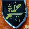 9th "Eshet" Armor Battalion
