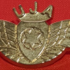 Pilot's wings awarded to the heaviest donors of the united jewish mob during their visit to the air force