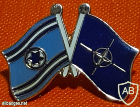 NATO flag and air force flag img69338