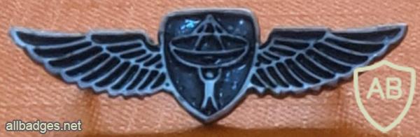 Unidentified badge- 83 img69644