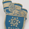 Unidentified badge img69690