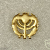 Knesset guard - Golden img69762