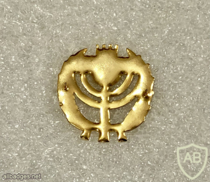 Knesset guard - Golden img69762