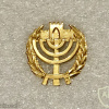 Knesset guard - Golden img69761
