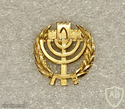 Knesset guard - Golden img69761