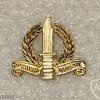 A proposal for a cap badge of the special forces - Golden