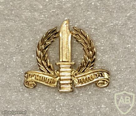 A proposal for a cap badge of the special forces - Golden img69755