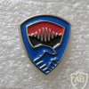 Unidentified badge- 16 img69897