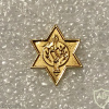 Unidentified badge- 52 - Golden