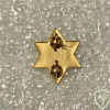 Unidentified badge- 52 - Golden img69986