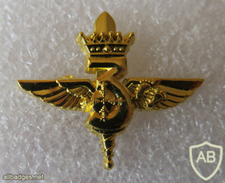 Unidentified badge- 78 - Golden img70040