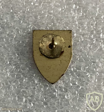 Golan Spatial Brigade img70071