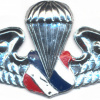 THAILAND Border Patrol Police ( BPP ) Parachutist wings, Basic img70323