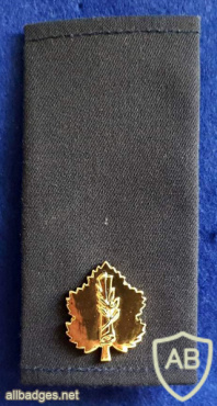 Special academic officer - Navy img70348
