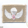 Philippines Air Force Basic Para-Rescue para wings, cloth