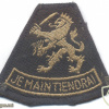 סמל הצבא המלכותי של הולנד