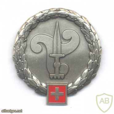צבא שוויץ - יחידת אימוני חי"ר ( חיל רגלים ) img70426