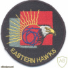 INDIA Army 667 Army Aviation Squadron "Eastern Hawks" pilot