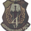 UKRAINE Army- 95th Independent Airmobile Brigade, 4th Company parachutist, variant- 1