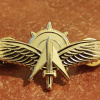 Unidentified badge- 17 - Golden