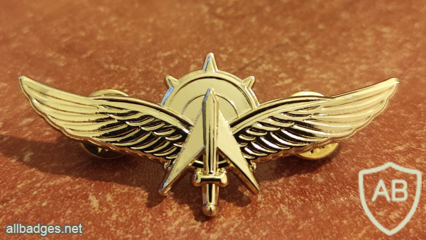 Unidentified badge- 17 - Golden img70476