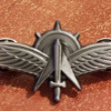 Unidentified badge- 17