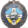 UKRAINE Internal Troops "Tygr" ( Tiger ) Special Forces Unit ( Spetsnaz ) meritorious service award badge, light metal img70479