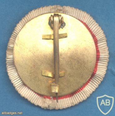JAPAN Imperial Military Reserve Association badge pin for veterans, on rosette img70489