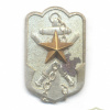 JAPAN Imperial Military Reserve Association badge pin for veterans, small img70482