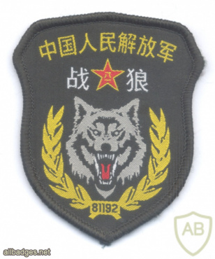 CHINA People's Liberation Army Special Operations Forces, War Wolf Commando img70514
