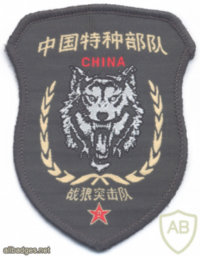 CHINA People's Liberation Army Special Operations Forces, War Wolf Commando img70515