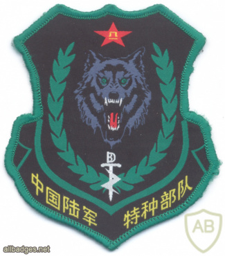CHINA People's Liberation Army Special Operations Forces, War Wolf Commando img70513