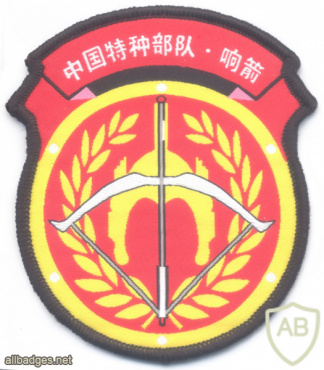 CHINA People's Liberation Army- 38th Army Group, "Whistling Arrow" Special Operations Brigade img70520