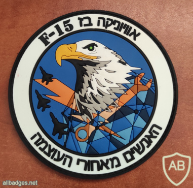 אוויוניקה בז F-15 img70564