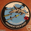 Armament crew chief - Double Tailed Knights Squadron - Squadron- 133