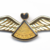 LESOTHO Air Force Pilot qualification wings, full size
