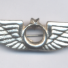 TURKEY Air Force pilot wings, full size img70774