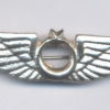 TURKEY Air Force pilot wings, full size