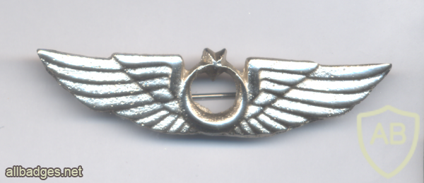 TURKEY Air Force pilot wings, full size img70774