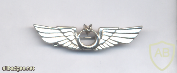 TURKEY Air Force pilot wings, full size img70776