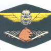 FINLAND Border Guard Aviation pilot qualification