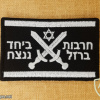 Israel flag - Iron swords