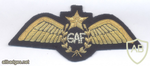 GHANA Air Force pilot qualification wings, bullion img70944