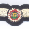 VENDA Defence Force pilot qualification wings, 1979-1994